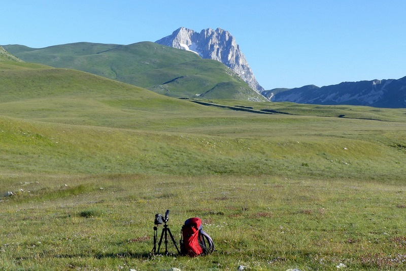 Orchidee a Campo Imperatore tra Medioevo e wilderness  primavera 2023